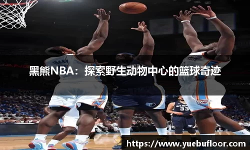 黑熊NBA：探索野生动物中心的篮球奇迹